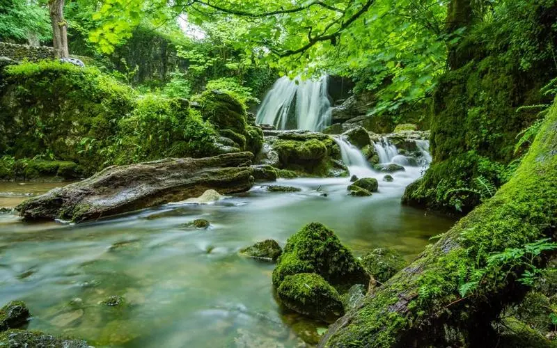 高端绿色高性能